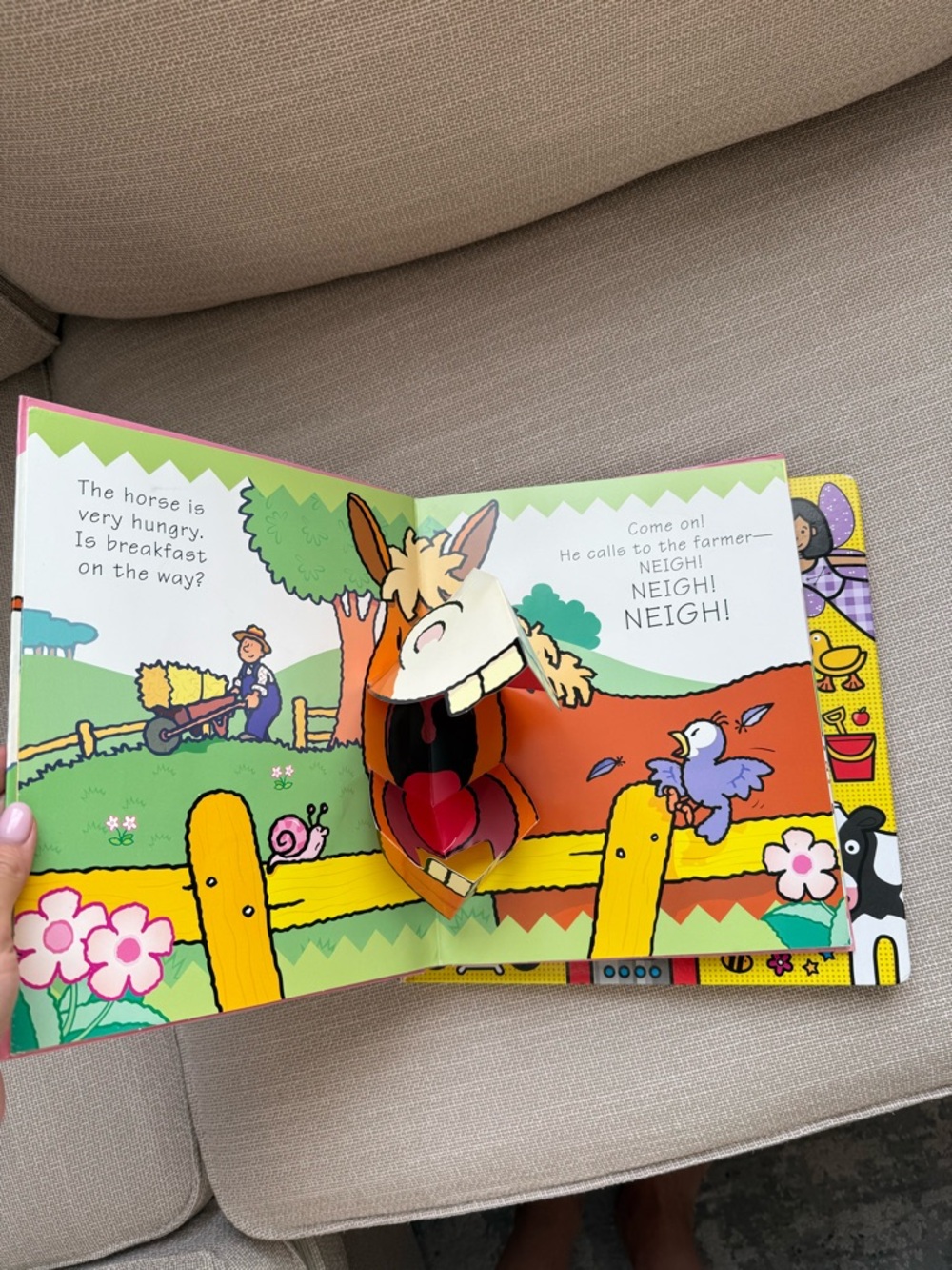 Set Books - Picture 4 of 10